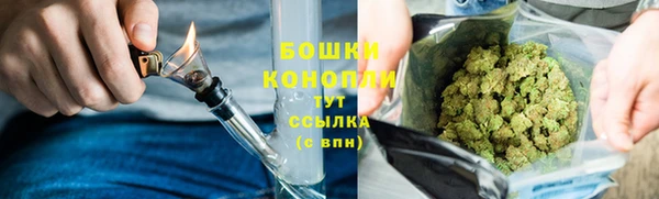 мдпв Володарск