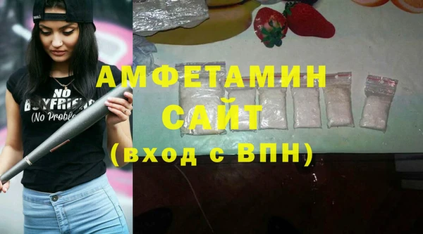 прущая мука Вяземский