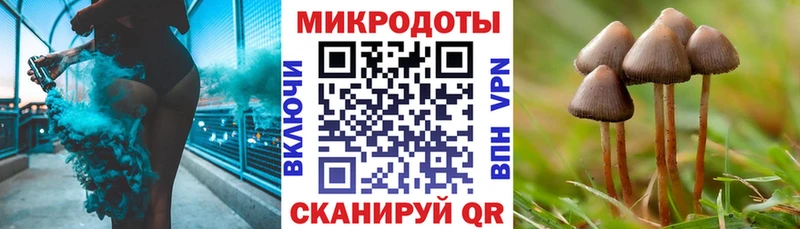 Псилоцибиновые грибы Magic Shrooms  Камбарка 